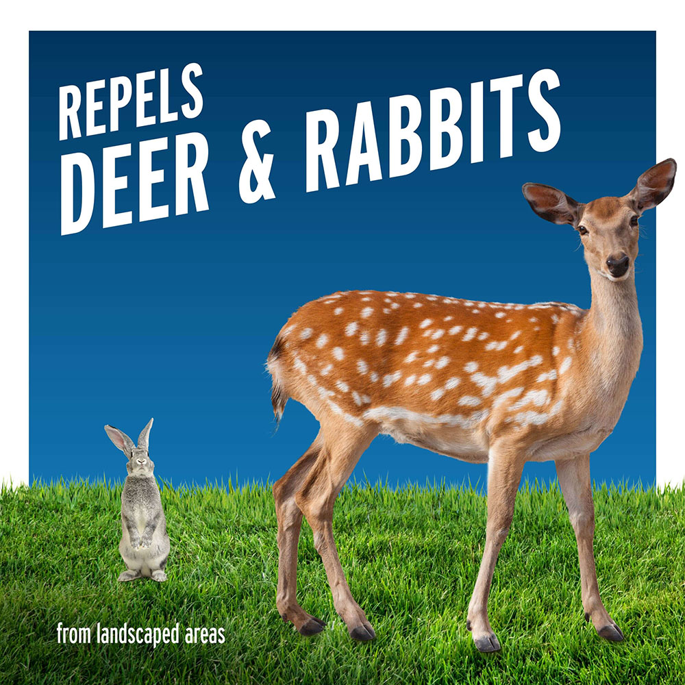 repels deer and rabbits
